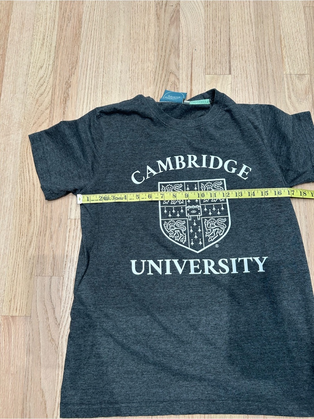 University of Cambridge Gray T-Shirt Size M